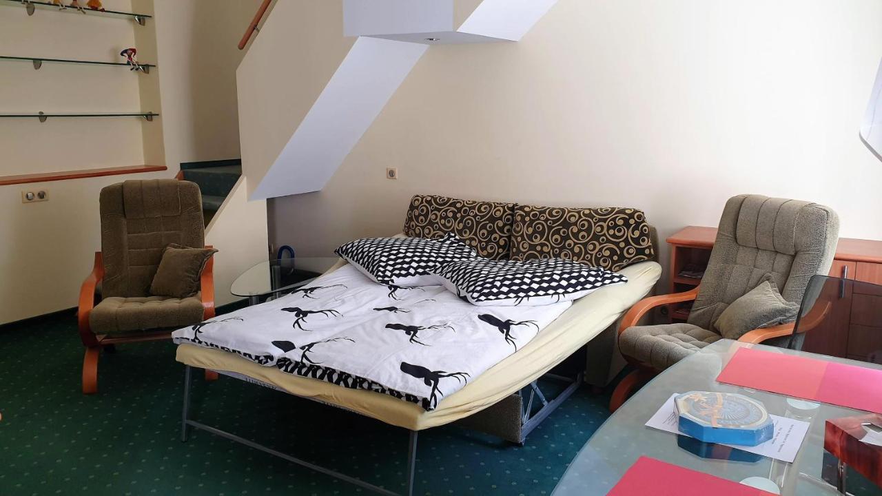 SPA Apartment Raisova Karlovy Vary Extérieur photo