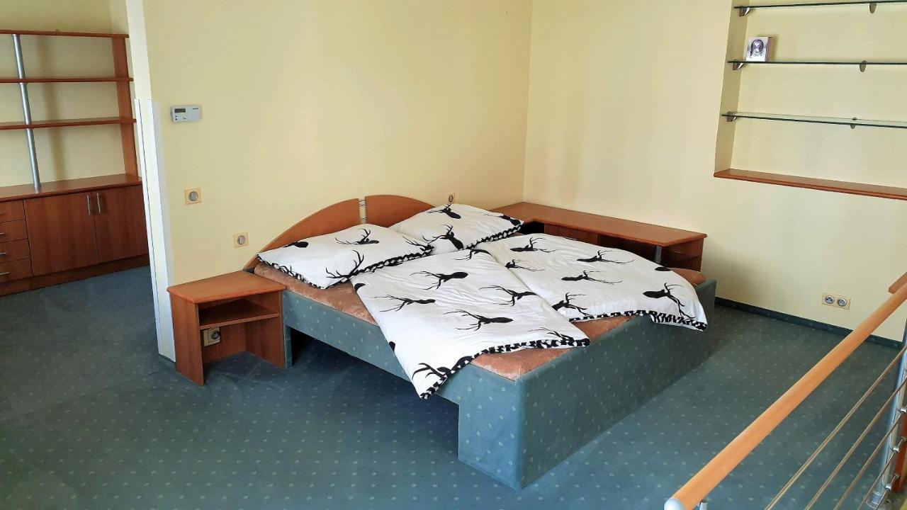 SPA Apartment Raisova Karlovy Vary Extérieur photo